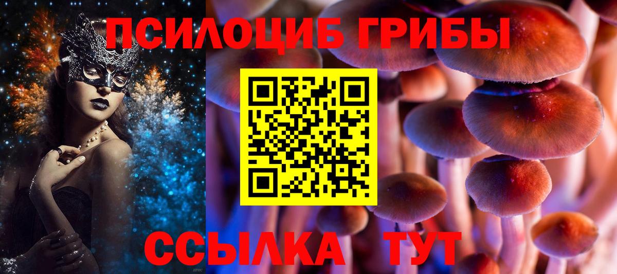 Галлюциногенные грибы Cubensis  Вход с VPN  Артём  Галлюциногенные грибы MAGIC MUSHROOMS 